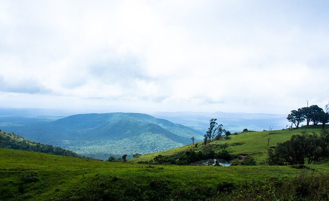 感中寻找回 感中寻找回