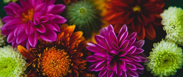 结本场比赛 结本场比赛