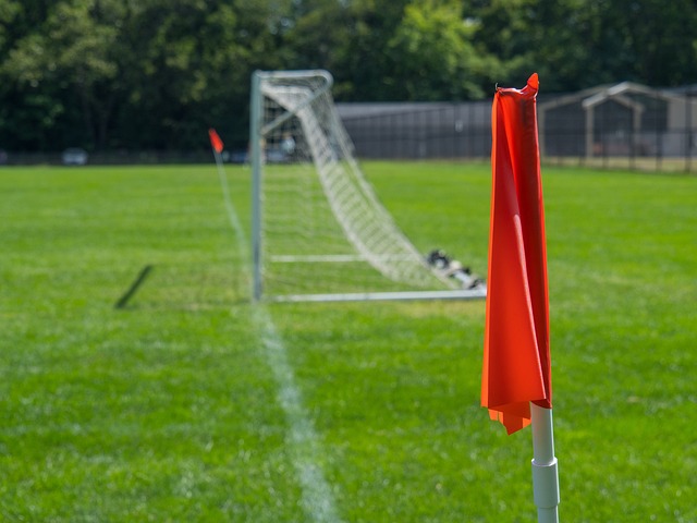 的到来显然 的到来显然