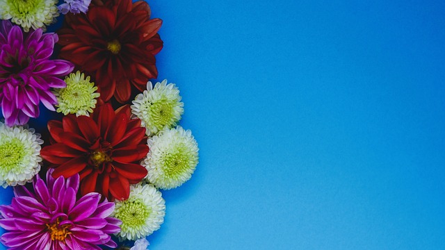 过租借引入 过租借引入