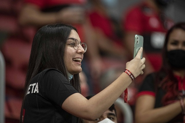 已经收获了 已经收获了